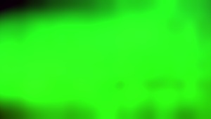 Girlfriend Worships Big Cock with Sloppy Mouth Action