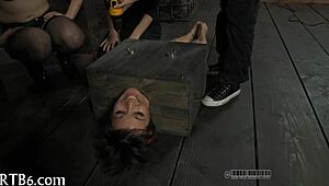 Femdom Mistress Dominates In Sadomasochism