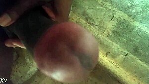 Tiempo Libre Dom Relaxation