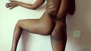 Dance for me, my favourit fan, shake that big ass and tits.