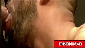 Enjoy the ultimate gay porn collection featuring hot gay anal and big cocks
