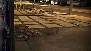 Big Ass Brazilian Teen 18+ Dominates With Extreme BDSM!