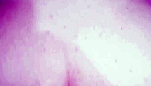 PAU GROSSO NO CUZINHO