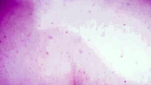 PAU GROSSO NO CUZINHO