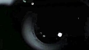 vintage ancient pornography collection