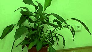 Feeling Intense Passion Sharing Sexy Brunette in Kitchen