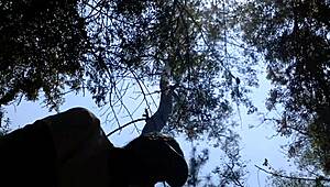 Gay couple sucking and fucking mexican cock in public anal sex