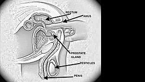 Adorable blonde babe feels horny tugging cock with small tits and toys for emotional oral pleasure