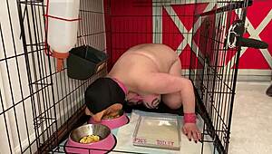 Fuckpig Justafilthycunt Humiliates In Cage With Pissing And Degradation