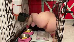 Fuckpig Justafilthycunt Humiliates In Cage With Pissing And Degradation