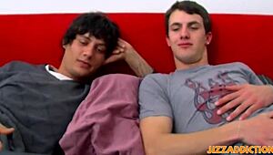 Three Twinks Feel Ultimate Pleasure in Anal Threeway