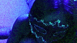 Compilation Of Redfantasies Shorts Freebie