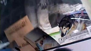 Cock Eating Teen Slut Jackie Ashe Gets Fucked Hard in Public 😈