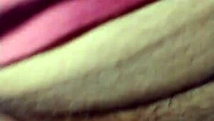 The Naughty Fox Of The Villa