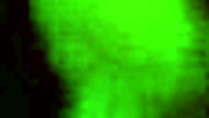 I Caught My Neighbor Fucking In The Bathroom