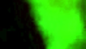 I Caught My Neighbor Fucking In The Bathroom