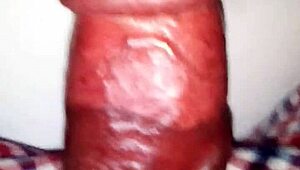 huge cock flashing got me wild, can't believe the size of this monster in my hands tonight