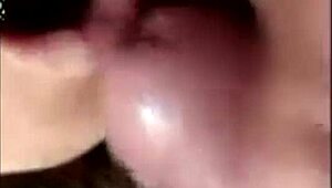 sloppy blowjob from mature cougar in pov, blending innocence with raw experience.