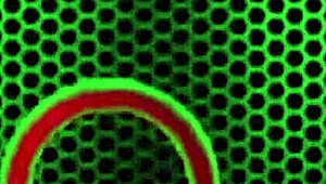 i'm busty karen fisher tryin' all these bras in a hot teasin' clip, playin' with my pussy