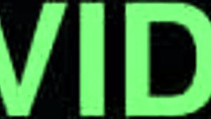 this girl gives the best head on xvideos, sucking that big cock like a pro