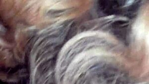 Video captured on October 14, 2017