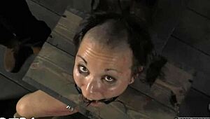 couple explores rough femdom delights with spanking and sucking