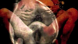 Nineteen 18+th Century Vintage Pornography From British European Antique Collection