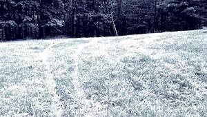 उस हॉट मोटरसाइकिल राइड के बाद, निना रिवेरा घोड़े पर बैठकर डॉन की लंड चूसती है बाहर