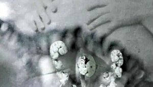 Nineteen 18+th Century Vintage Pornography From British European Antique Collection