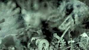 Nineteen 18+th Century Vintage Pornography From British European Antique Collection