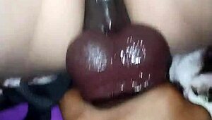 I tol' my cuck to fuck my ass, I scream'd madly cummin' from ass n pussy