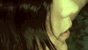 vintage swinging sixties with hairy pussy and retro blowjob action