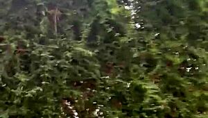 Destiny Cruz Caught in a Steamy Backyard Encounter