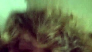 sexy buddy slips through my gloryhole for a sloppy feed