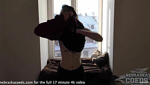 रैबिट टॉय