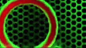 Alex Legend persuades Penny Pax into a threesome with dirty talk and intense positions