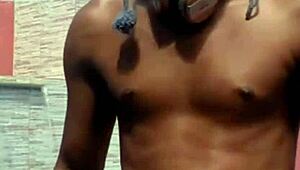 Willpjtxx reizin pirocudo voltou, he says with a grin.