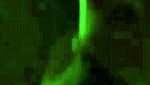 sloppy blowjob leads to hardcore doggystyle backshots