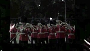 Ever tried bisexual interracial fun with retro hairy vibes?