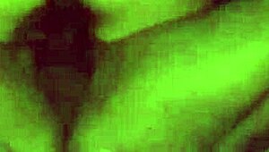 thick body latina, you giving blowjob then cowgirl ride till cum inside?