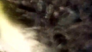 Girlfriend gives bold blowjob to friend, sucking right intensely