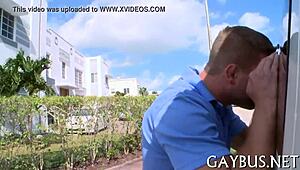 free gay sex, subtle and enticing