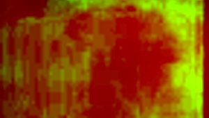 sloppy toppy action from my white bitch in florida