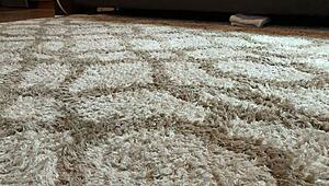 Mandy Mynxx Giving Oral on Couch with Feet Play in Hardcore Latina Action