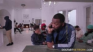 Can you handle blonde babe harley king in a 17-man bukkake blowbang?