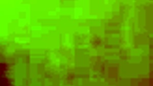 Amateur verification video for site