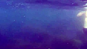 Crazy Diver Spies And Films Me Flashing Hairy Pussy In The Sea