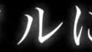 hey, i'm staying tonight for a steamy japanese massage in the bathroom!