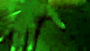 Check out this huge black cock! 😍