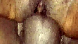 Babe Gets Her Honey Sweet Pussy Fucked Hard By Cock